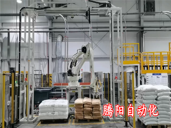 拆包投料機械手一臺機器可以拆兩種產(chǎn)品